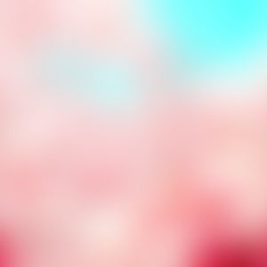 Meet your Posher, Nina